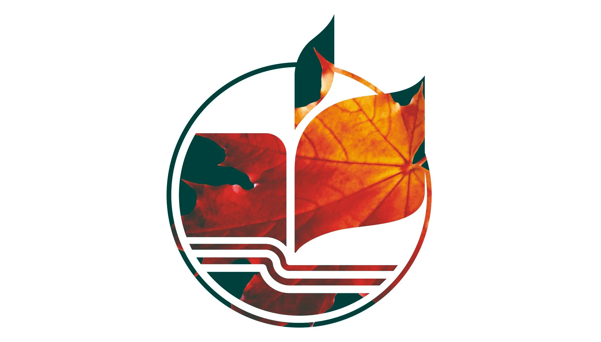 День чтения вслух