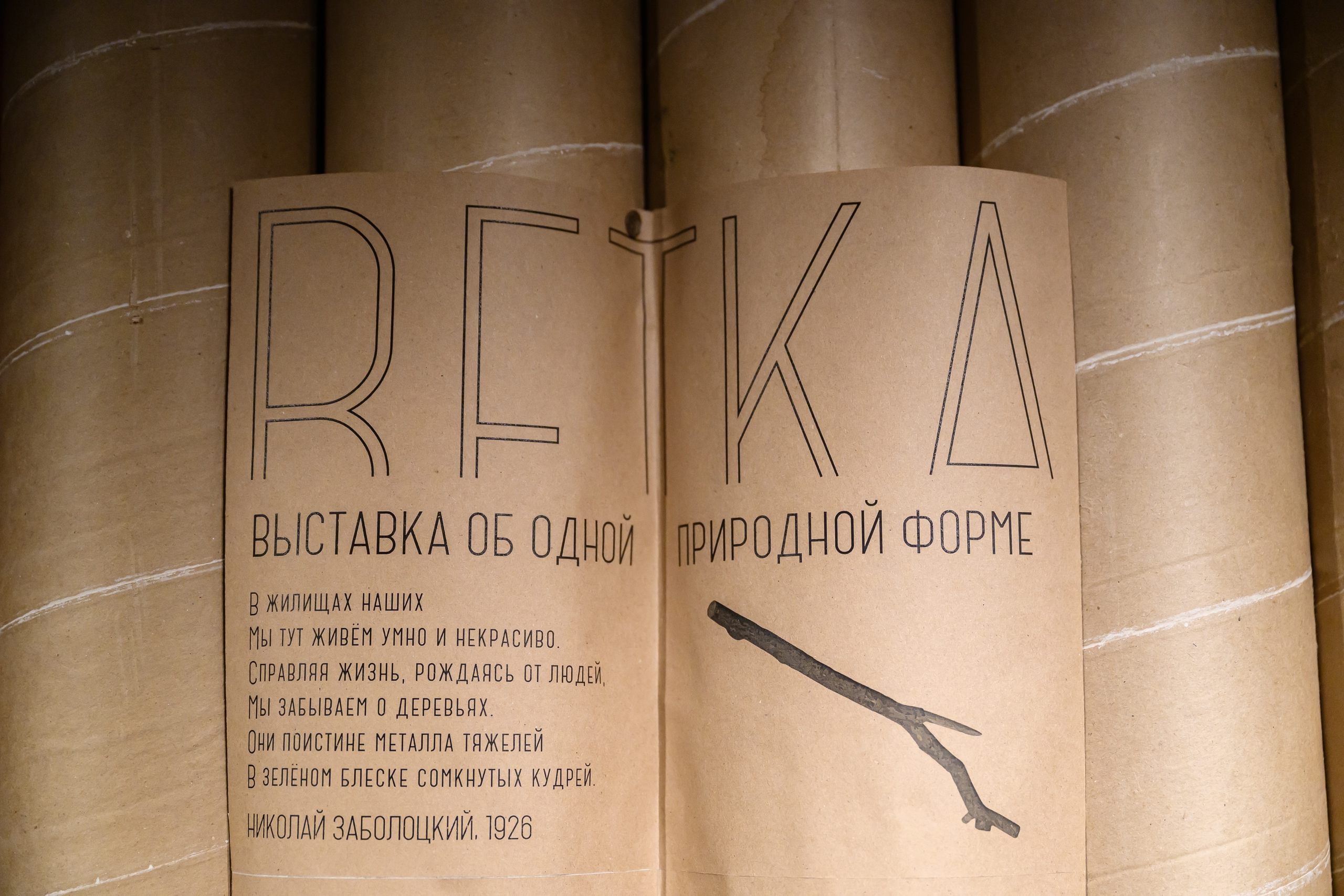 Открытие выставки. Ветка