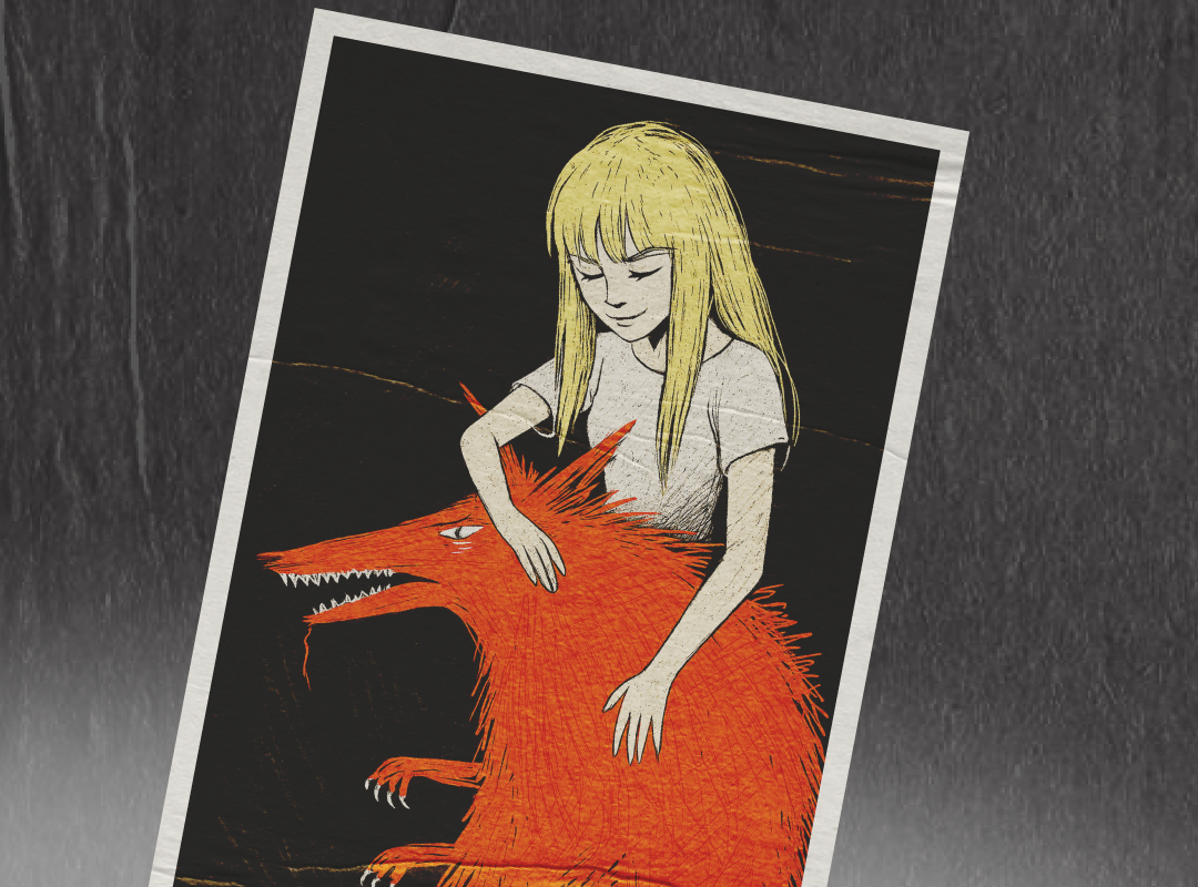 Ананасова и ее книга